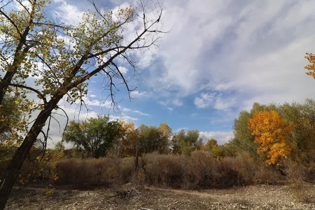 Boise Bend Natural Area