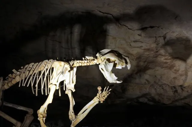 Naracoorte Caves National Park