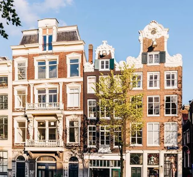 Electric Ladyland - Museum of Fluorescent Art