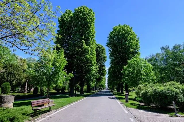Mogoșoaia Park