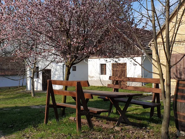 Györköny Pincehegy