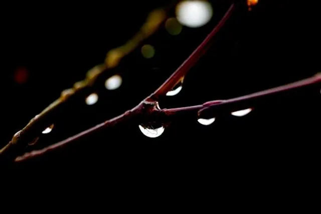 The world is upside down