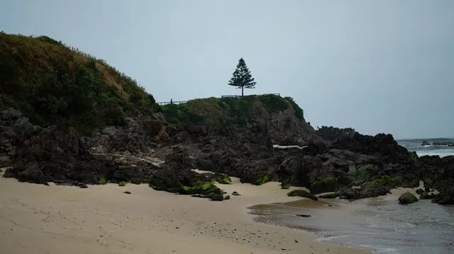 photo-3