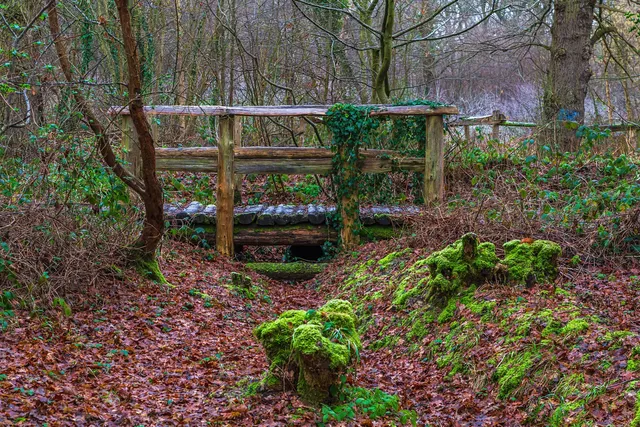 Pound Wood Nature Reserve