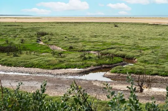 réserve naturelle nationale de la casse de la Belle-Henriette