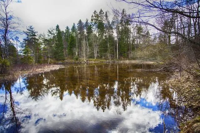 Farris Memorial Park