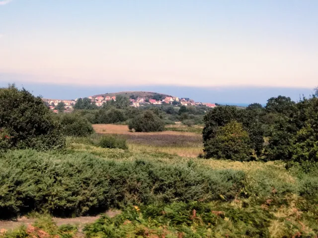 Beeston & Sheringham Commons