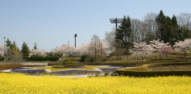 Sato Seisen Sports Park Watari (Watari Park)