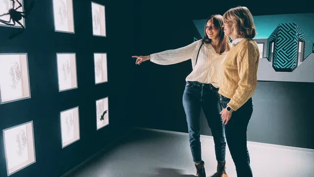 Museum der Illusionen Stuttgart