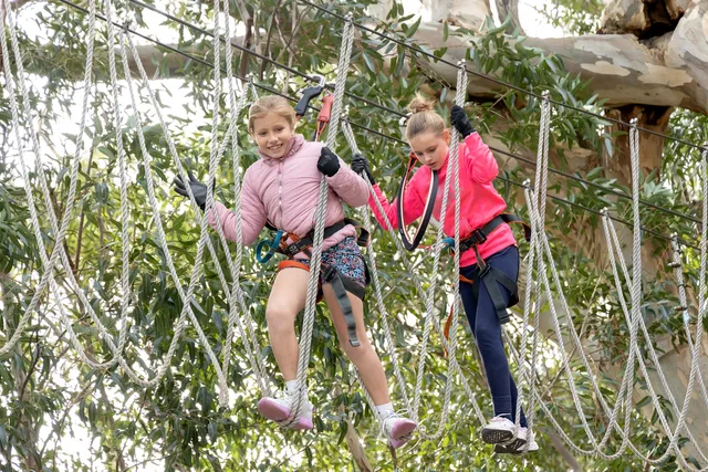 Acrobranch Garsfontein