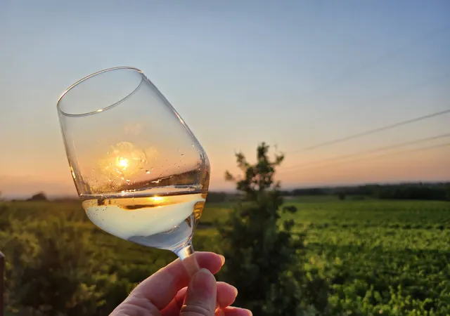 Cantina Castello di Tassarolo