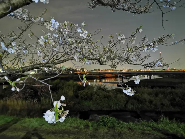 Minamikasetsuji Park