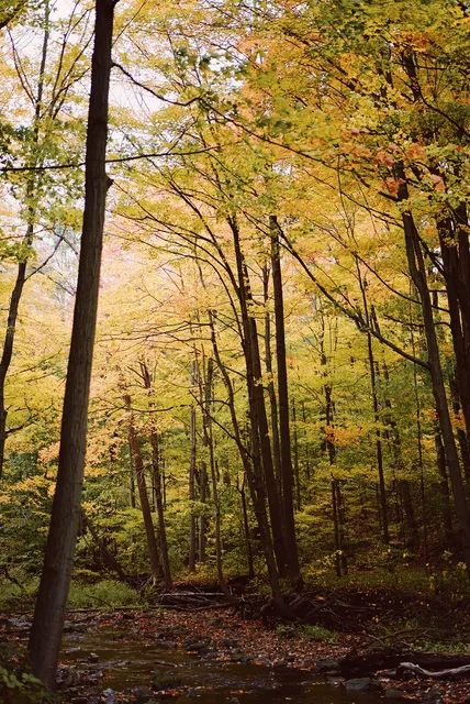 Bruce Trail Conservancy