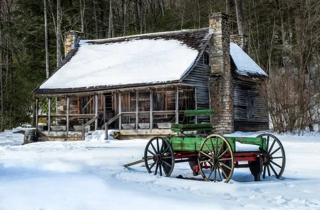 Cradle of Forestry in America