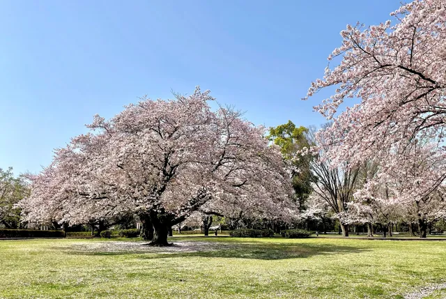 Ōba Jōshi Park / 大庭城址公園