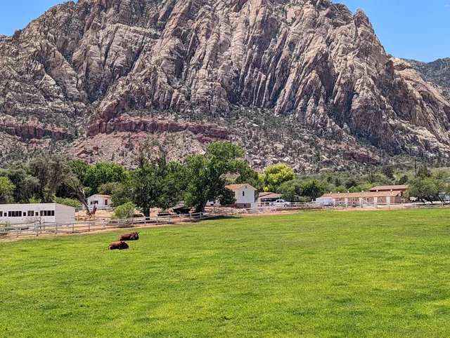 Spring Mountain Ranch State Park