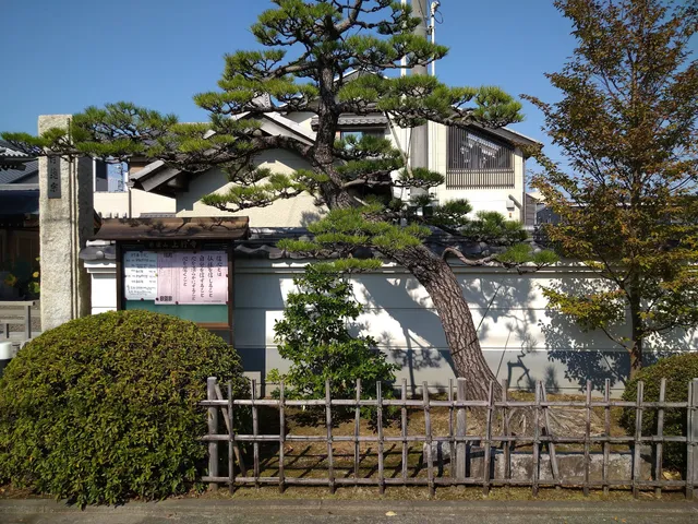 photo-2