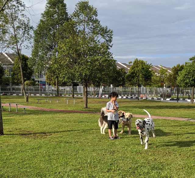 Dog Park