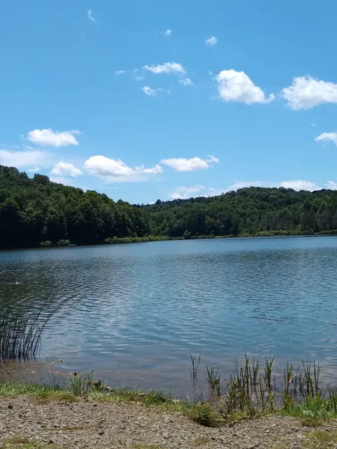 Big Ditch Wildlife Management Area