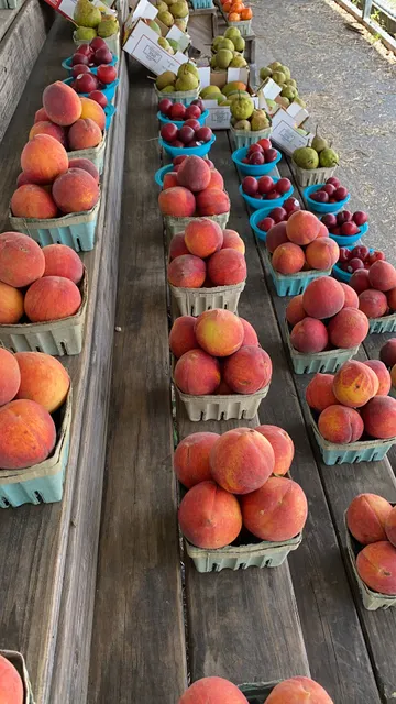 Farmers Corner Market