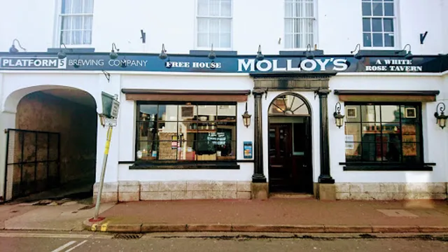 Molloys
