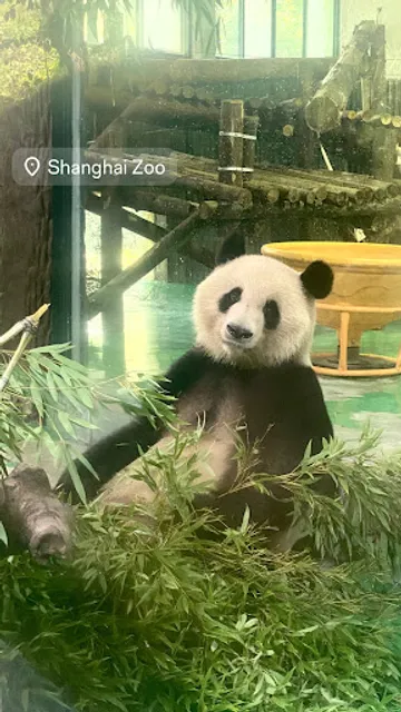 Shanghai Zoo Entering Type Birds Paradise