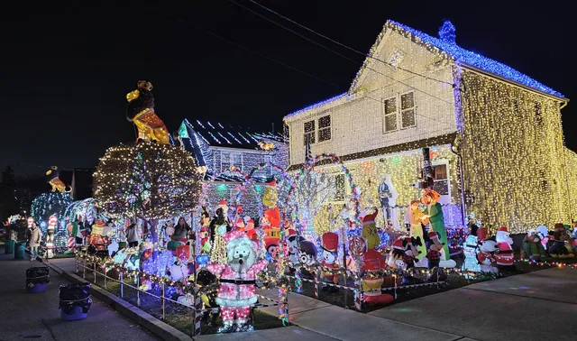 Forest Ave Christmas Lights