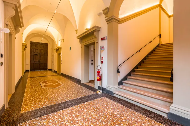 Design Club Collection