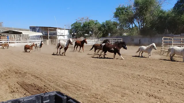 Rancho Montebello Racing Stables