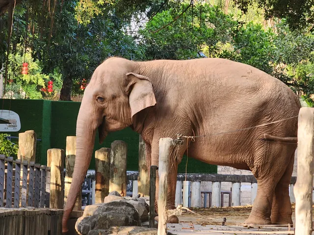 Shenzhen Wildlife Park