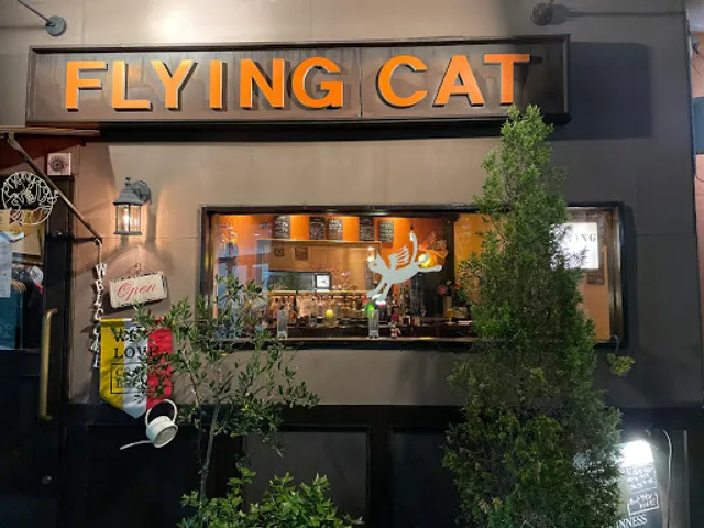 Flying Cat
