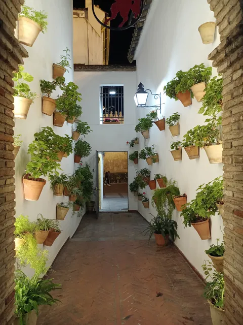 Apartamentos Céspedescinco