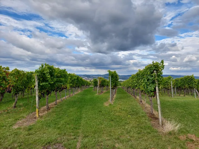 Wunderschöne Aussicht