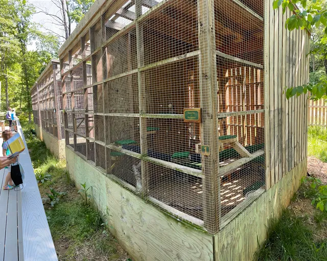 Blue Ridge Wildlife Center