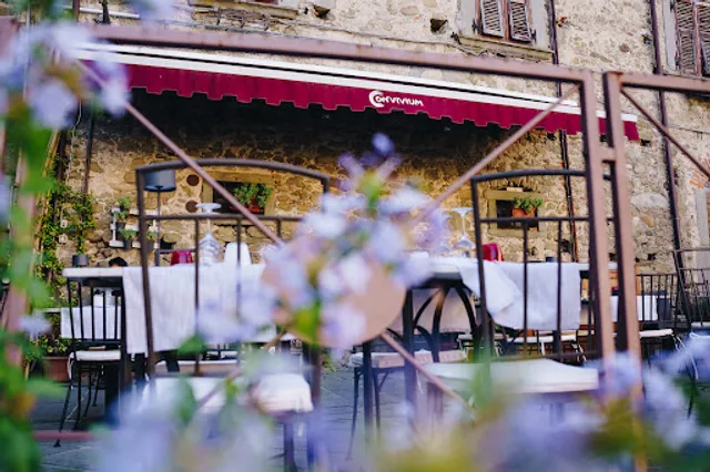 Convivium venti venti