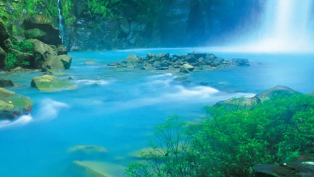 Jungle Jorge Costa Rica Tours