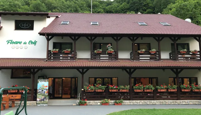 Pensiunea Floare De Colț