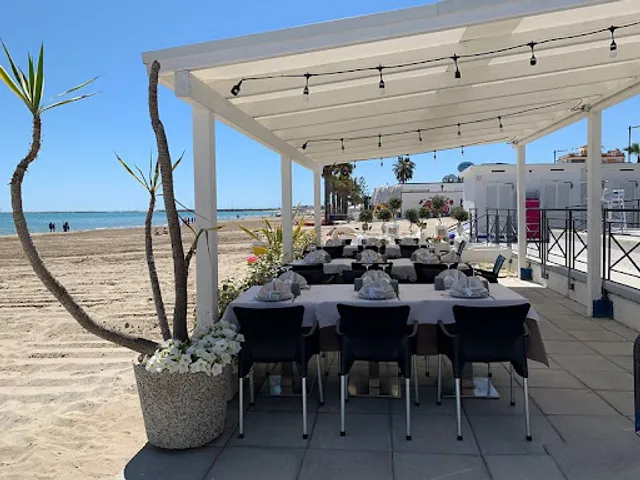 Beluga Beach Restaurant- Ristorante di pesce a Grottammare