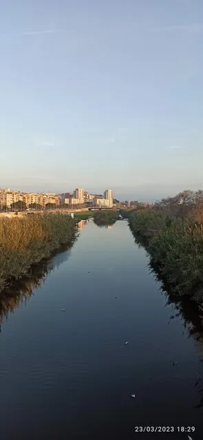 Parc fluvial del Besòs