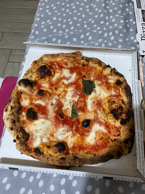 photo-1