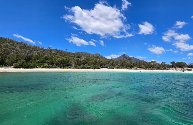 Wineglass Bay Cruises