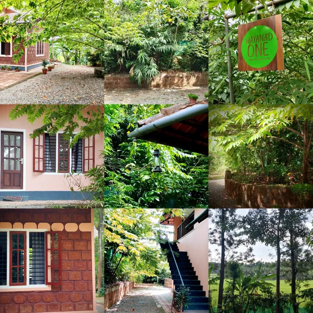 Wayanad One