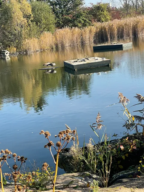 Parc des Chanteraines Villeneuve-la-Garenne
