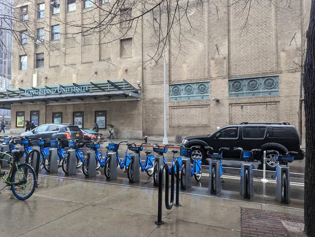 Long Island University Brooklyn