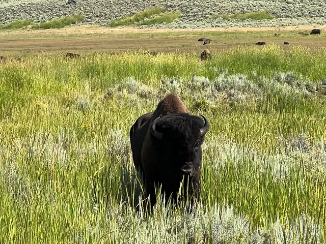 Tower Junction Trailhead (2k2)