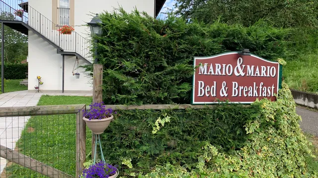 B&B Mario & Mario