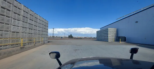 Crown Citrus / Calipatria Bee Sweet citrus