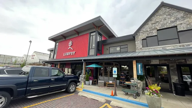 Lurvey Home & Garden