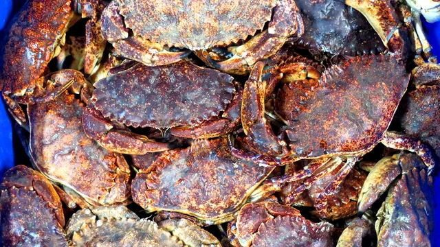 King's Seafood Distribution