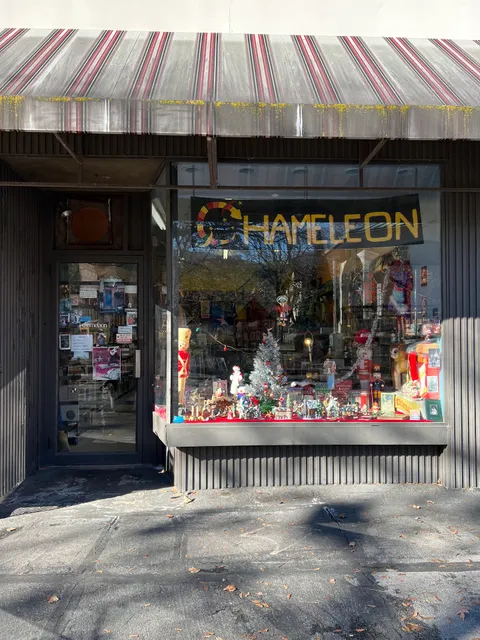 Chameleon Bookstore